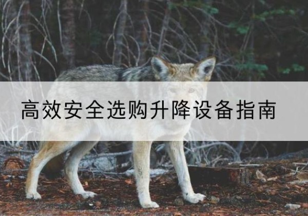 浑江升降货梯厂家推荐-*安全选购升降设备指南