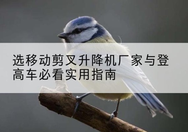 浑江电动升降机厂家-选移动剪叉升降机厂家与登高车必看实用指南